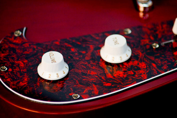 Ibanez FRM100 PGM Paul Gilbert Fireman, Trans Red Controls