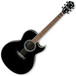 Ibanez JSA5 Joe Satriani Signature Electro-Acoustic Guitar, Black