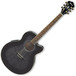 Ibanez AEL20E Electro-Acoustic Guitar, Trans Black