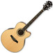 Ibanez AEL10E Electro-Acoustic Guitar, Natural