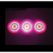 FXLab Circ7 LED DMX Projection Lighting Effect