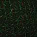 FXLab 100mW Red/50mW Green Diffraction Laser
