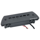 Seymour Duncan SA-6 Mag Mic Acoustic System