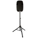 Ultimate Support TS80B (Black) Tripod Stand with Speaker