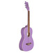 Daisy Rock Junior Miss Acoustic Short Scale Pack, Popsicle Purple