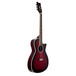 Daisy Rock Wildwood Artist Electro-Acoustic, Royal Purple Burst