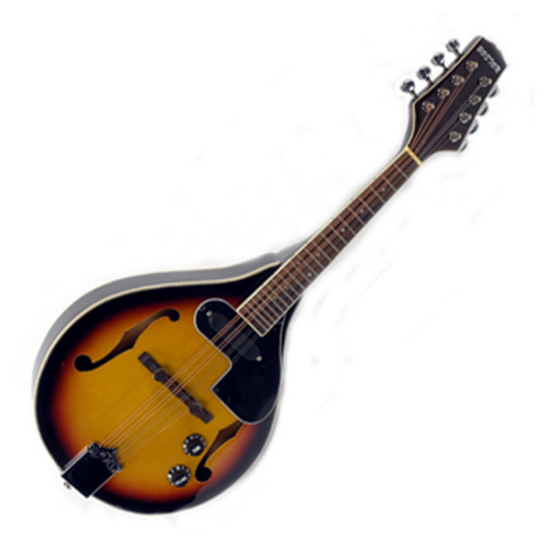 Electric Mandolin