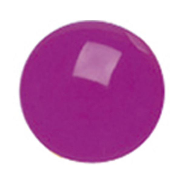 Electrovision Plastic Par 36 Filter, Purple