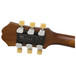 Tuning Lite System