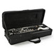 Bass clarinet in case