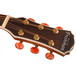 Freshman FA250GAC Acoustic Guitar, Natural Headstock