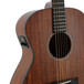 Breedlove Passport 6 String OM/MMe Acoustic Inc Gigbag