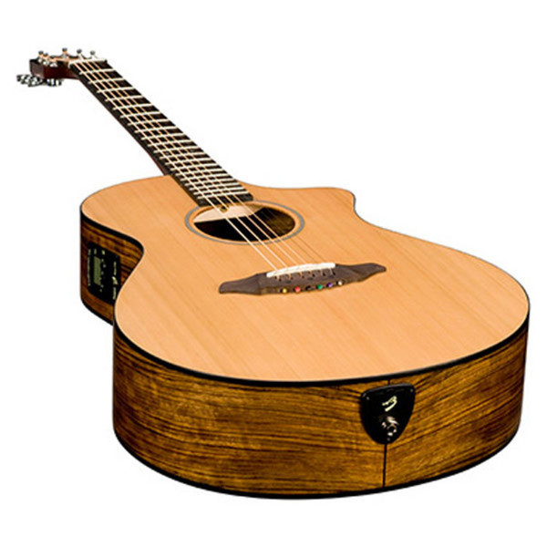 Breedlove Passport C250/COe Acoustic Guitar Inc. Gig Bagv