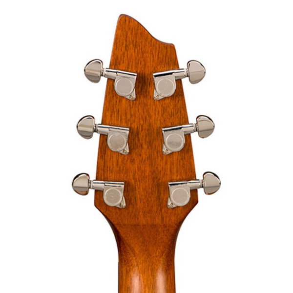 Breedlove Passport C250/COe Acoustic Guitar Inc. Gig Bag