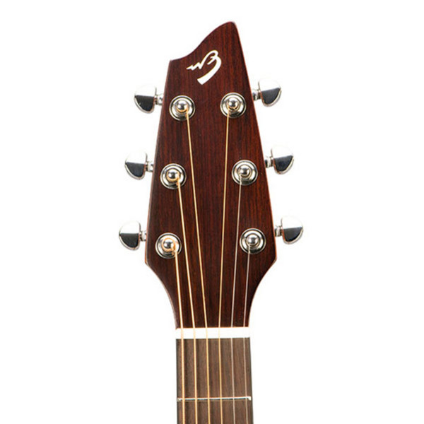 Breedlove Passport C250/COe Acoustic Guitar Inc. Gig Bag