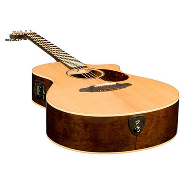 Breedlove Passport Plus 6 String C250/SBe Inc Gigbag