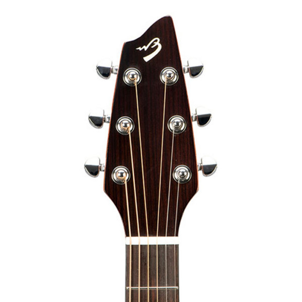 Breedlove Passport Plus 6 String C250/SBe Inc Gigbag