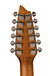 Breedlove Passport PLUS C250/Sbe 12 String Inc Gig Bag