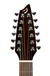 Breedlove Passport PLUS C250/Sbe 12 String Inc Gig Bag
