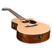 Breedlove Passport PLUS C250/Sbe 12 String Inc Gig Bag