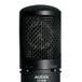 Audix CX212B Large Dual Diaphragm Condenser Microphone Detail