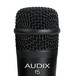 Audix F5 All-Purpose Dynamic Instrument Microphone Detail