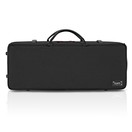 BAM 2005 Classic Double Violin Case, Black