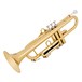 pTrumpet hyTech Trumpet, Gold