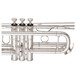 Yamaha YTR8445 Xeno C Trumpet, Silver Plate, Valve Block
