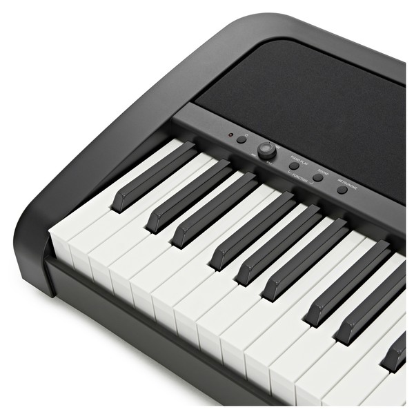 Korg B2 Digital Piano, Black
