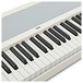 Korg B2 Digital Piano, White keys
