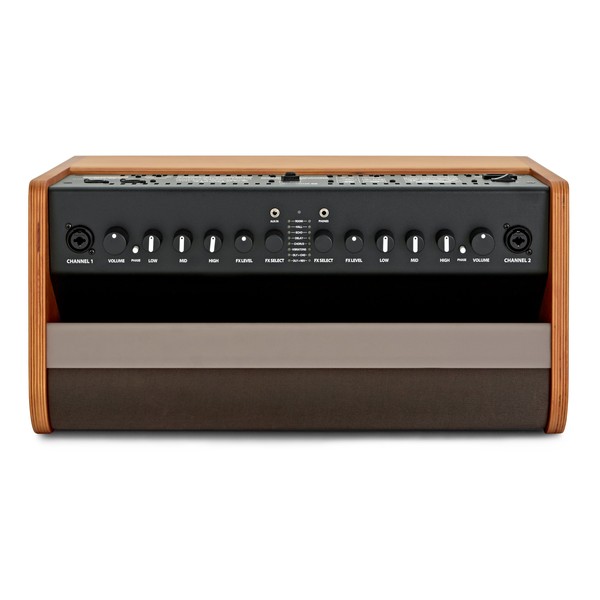 Fender Acoustic 100 Acoustic Amp top