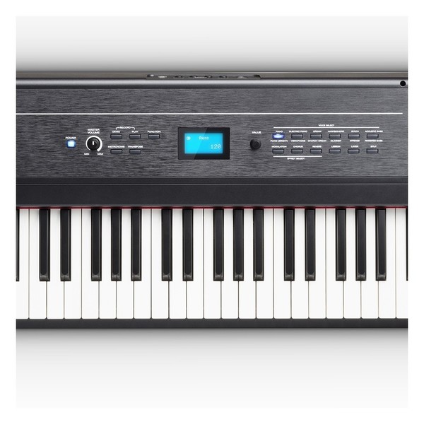 Alesis Recital Pro 88 Note Digital Piano, Panel