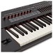 Roland RD 2000 Digital Stage Piano, Knobs