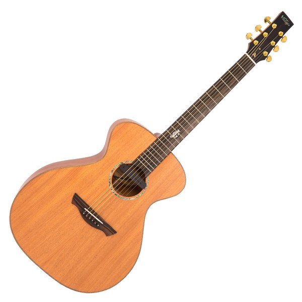 Vintage Gordon Giltrap Electro Acoustic, Mahogany