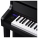 Casio GP310 Grand Hybrid Digital Piano, Satin Black, Interface