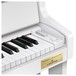Casio GP310 Grand Hybrid Digital Piano, Satin White, USB