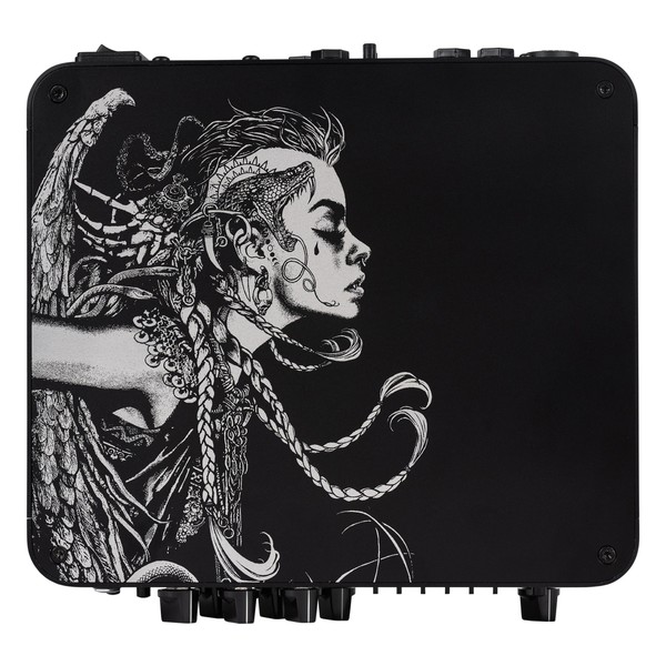 Darkglass Microtubes 900 V2 Euryale Ltd Ed Bass Head - top