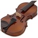 Primavera Loreato Violin Outfit, Full Size, Tailpiece