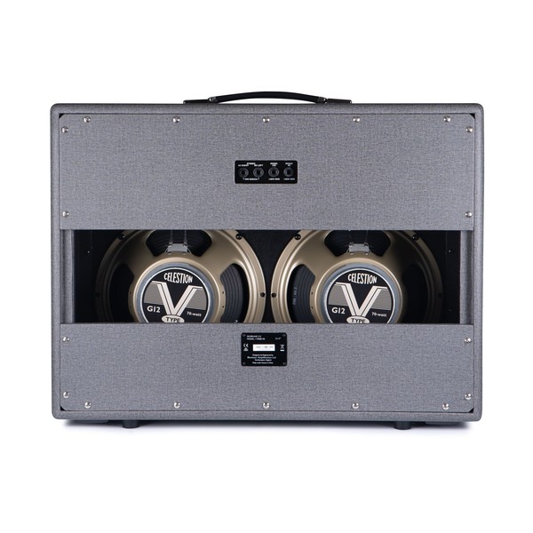 Blackstar Silverline Deluxe 100w Head - back