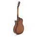 Taylor 414ce LTD Electro Acoustic, Shaded Edgeburst
