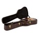 Gibson Hummingbird M, Rosewood Burst - Included Hardcase Open View
