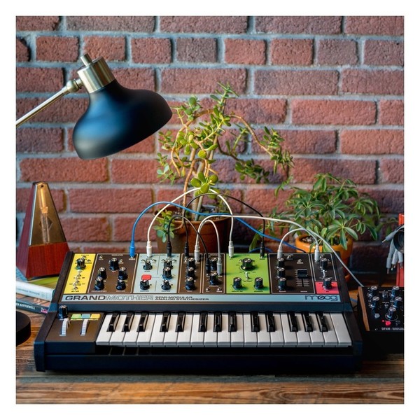 Moog Grandmother Modular Synthesizer - Lifestyle