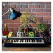 Moog Grandmother Modular Synthesizer - Lifestyle