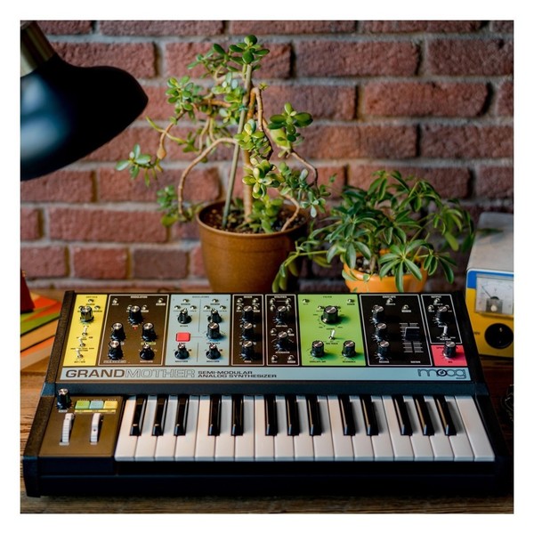 Moog Grandmother Synth - Lifestyle 2