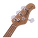 Sterling StingRay Bass MN, Quilt Island Burst