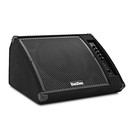 SubZero 230W 12" Active Floor Monitor - Nearly New