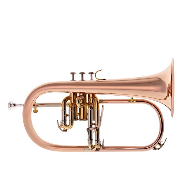 Bach FH501 Student Flugel Horn Outfit