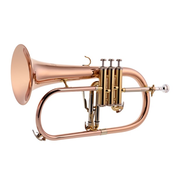 Bach FH501 Student Flugel Horn Outfit