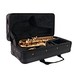 Conn SC650 Soprano Saxophone, Curved case open